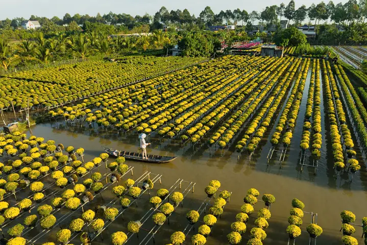 Làng Hoa Kiểng Tân Quy Đông Làng Hoa Kiểng Tân Quy Đông