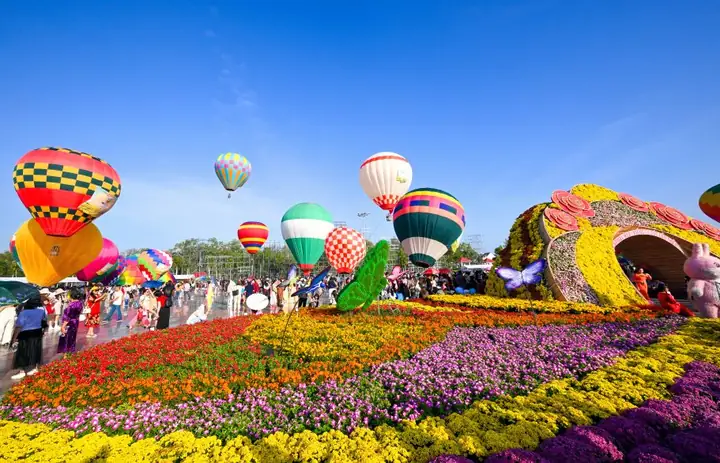Làng Hoa Sa Đéc Đồng Tháp Làng Hoa Sa Đéc Đồng Tháp