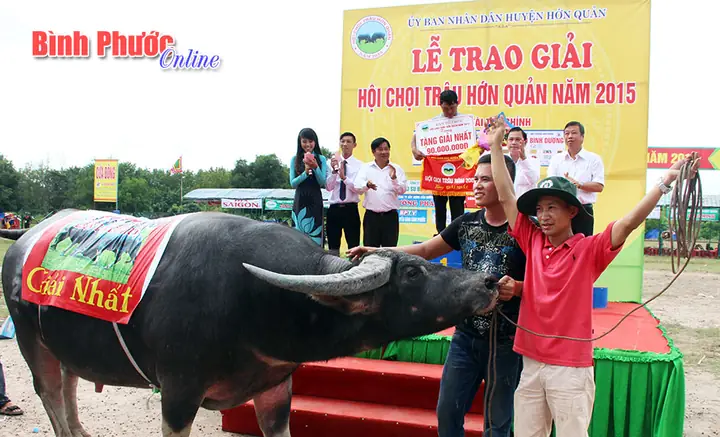 Lễ Hội Chọi Trâu Bình Phước