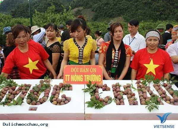 Lễ Hội Hái Mận Mộc Châu Lễ Hội Hái Mận Mộc Châu