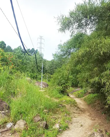 Leo Núi Gia Lào Đường Cột Điện Leo Núi Gia Lào Đường Cột Điện