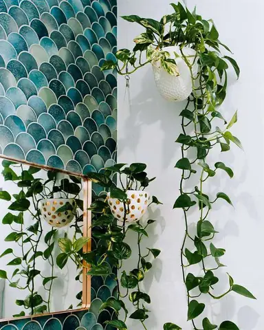 Lộc Bà Nên Để Ở Đâu Lộc Bà Nên Để Ở Đâu