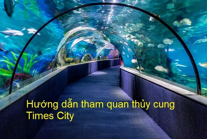 Lối Vào Thủy Cung Time City