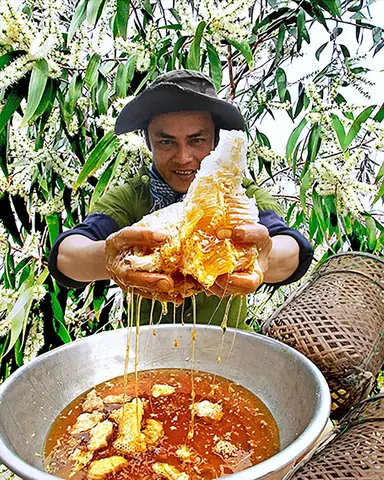 Mật Ong Rừng U Minh Hạ Mật Ong Rừng U Minh Hạ