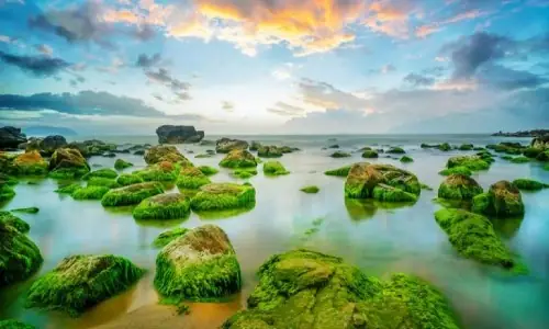 Máy Bay Gia Lai Đà Nẵng