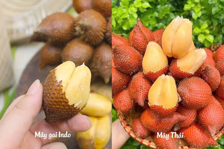 Mây Thái Ăn Như Thế Nào Mây Thái Ăn Như Thế Nào