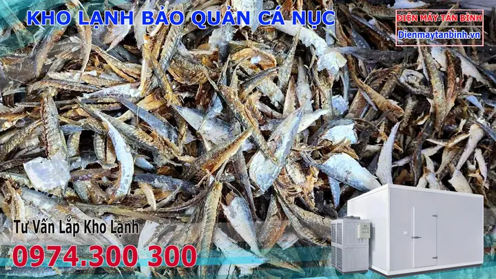 Món Ngon Từ Cá Nục Hấp Món Ngon Từ Cá Nục Hấp