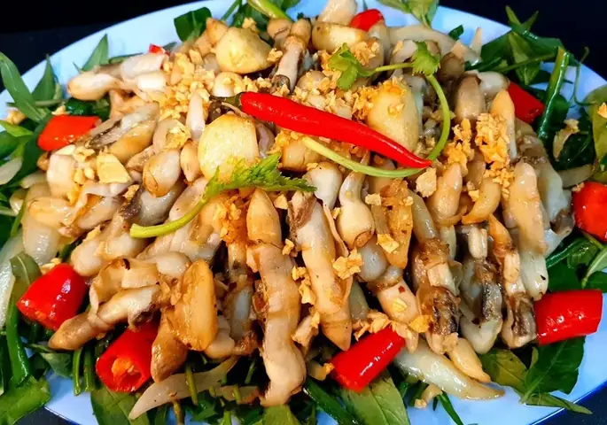 Món Ngon Từ Ốc Móng Tay Món Ngon Từ Ốc Móng Tay