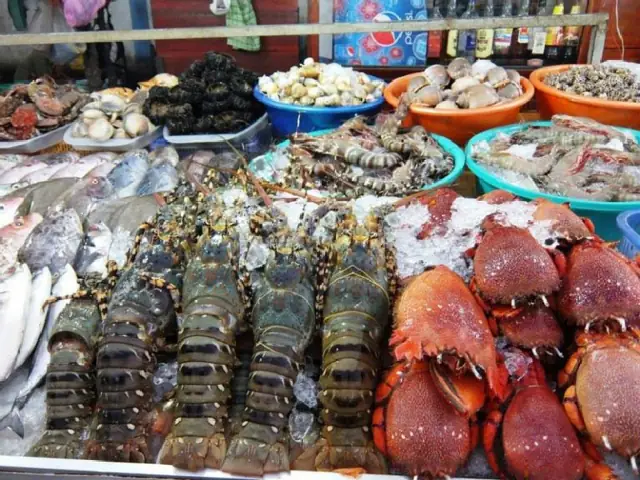 Mua Hải Sản Tươi Sống Ở Vũng Tàu Mua Hải Sản Tươi Sống Ở Vũng Tàu