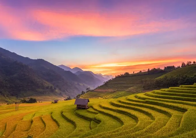 Mùa Lúa Chín Ở Sapa Vào Tháng Mấy Mùa Lúa Chín Ở Sapa Vào Tháng Mấy