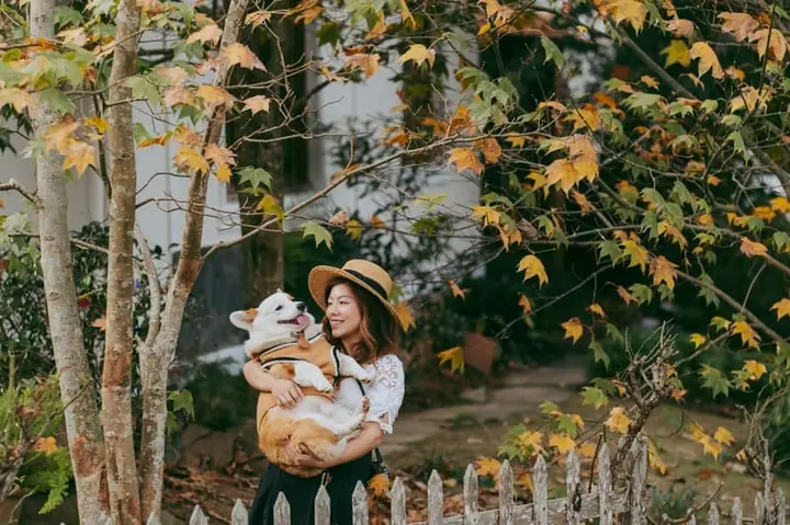 Ngôi Nhà Lá Phong Đà Lạt