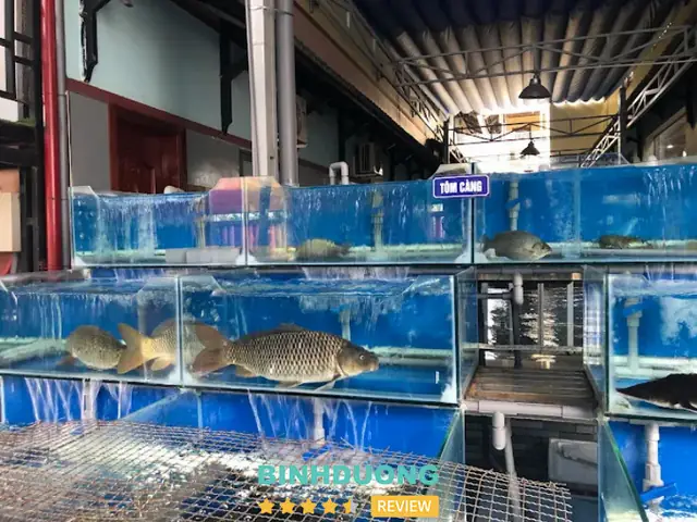 Nhà Hàng Biển Xanh Dĩ An Nhà Hàng Biển Xanh Dĩ An
