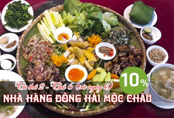 Nhà Hàng Đông Hải Mộc Châu Nhà Hàng Đông Hải Mộc Châu