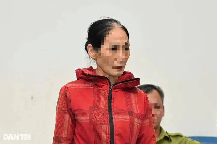 Nhà Nghỉ Trong Rừng Cúc Phương Nhà Nghỉ Trong Rừng Cúc Phương