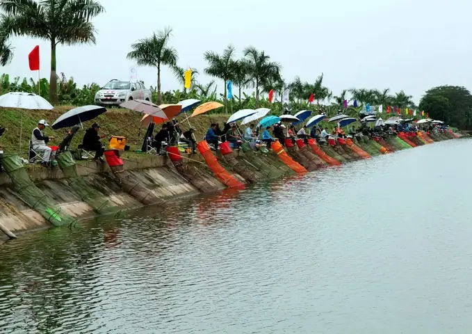Những Địa Điểm Câu Cá Tự Nhiên Ở Tphcm Những Địa Điểm Câu Cá Tự Nhiên Ở Tphcm