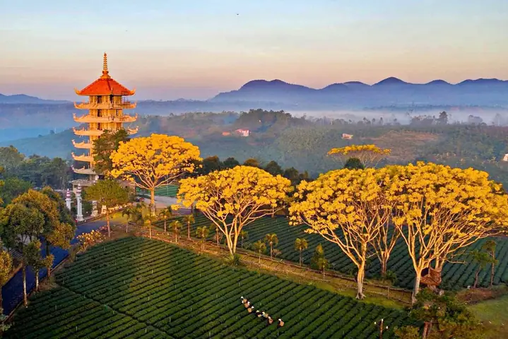 Những Ngôi Chùa Đẹp Ở Bảo Lộc Những Ngôi Chùa Đẹp Ở Bảo Lộc
