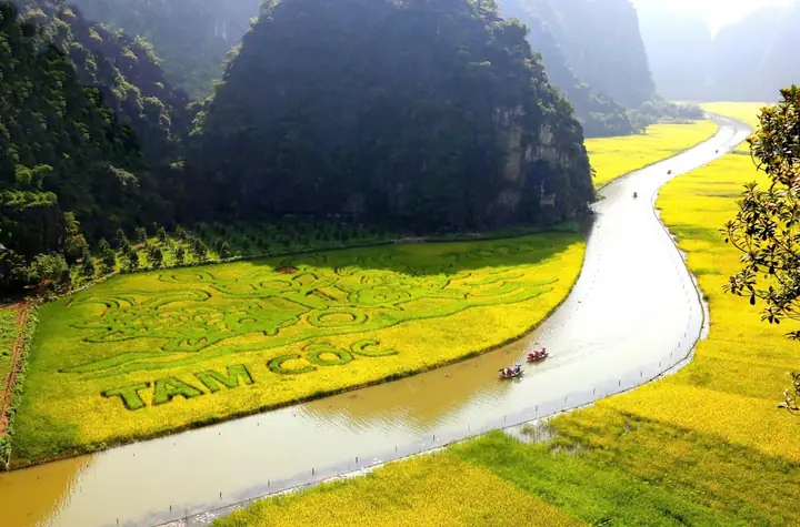 Ninh Bình Mùa Lúa Chín Tháng 10
