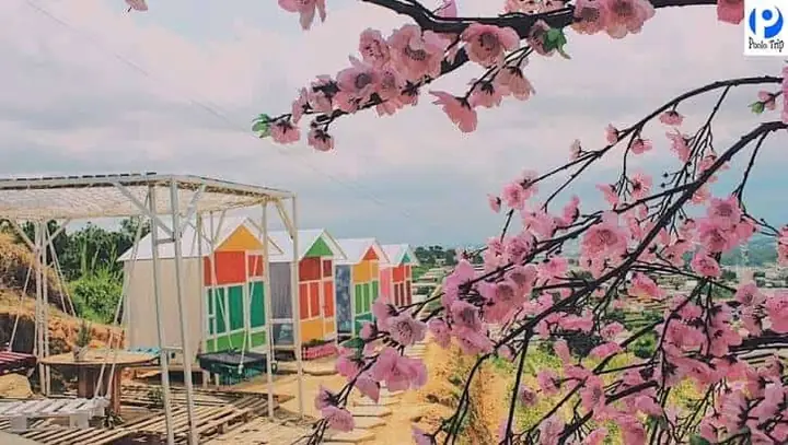 Nông Trại Vui Vẻ Sunny Farm Nông Trại Vui Vẻ Sunny Farm