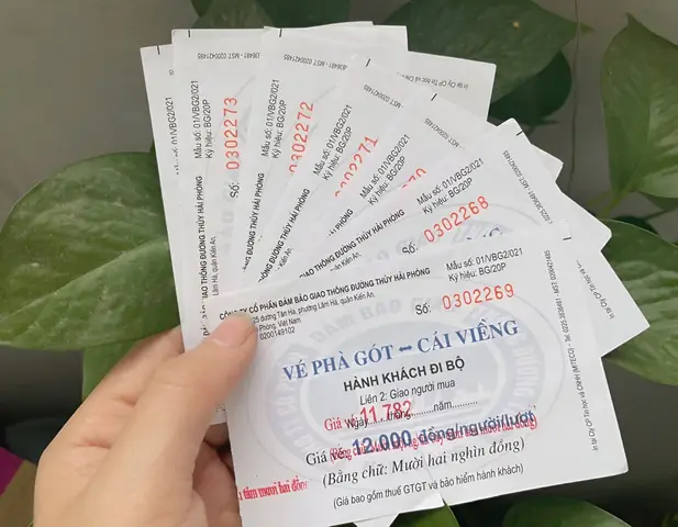 Phà Gót Chạy Đến Mấy Giờ