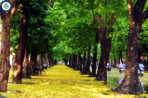 Phan Đình Phùng Hà Nội Thuộc Phường Nào Phan Đình Phùng Hà Nội Thuộc Phường Nào