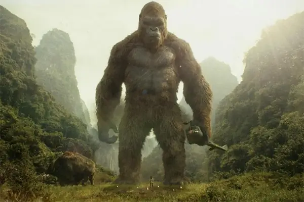 Phim King Kong Quay Ở Ninh Bình
