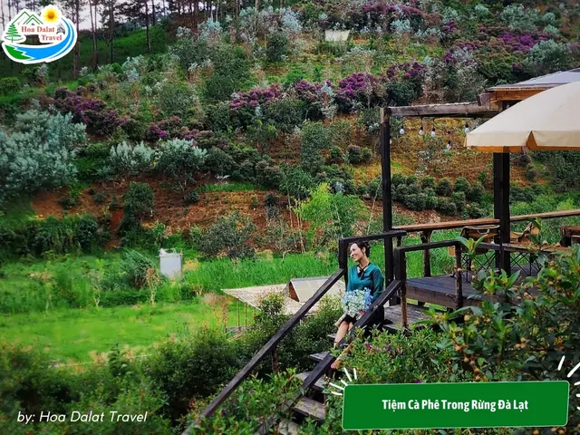 Quán Cà Phê Đẹp Ở Trung Tâm Đà Lạt Quán Cà Phê Đẹp Ở Trung Tâm Đà Lạt