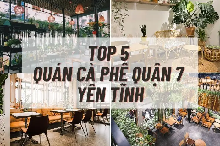 Quán Cà Phê Ở Quận 7 Quán Cà Phê Ở Quận 7