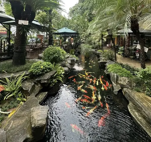 Quán Cafe Cá Koi Hải Phòng Quán Cafe Cá Koi Hải Phòng