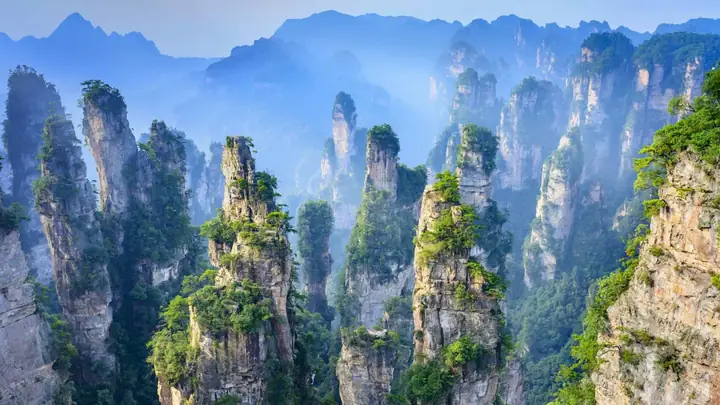 Rừng Quốc Gia Trương Gia Giới Rừng Quốc Gia Trương Gia Giới