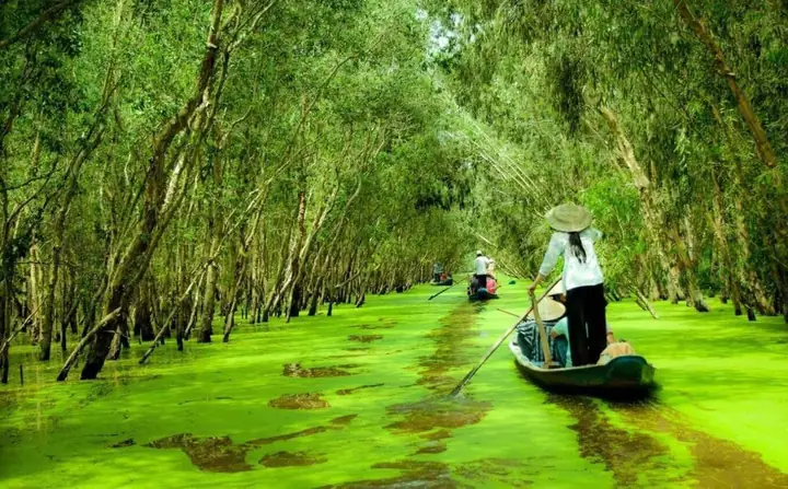 Rừng Tràm Trà Sư Châu Đốc Rừng Tràm Trà Sư Châu Đốc