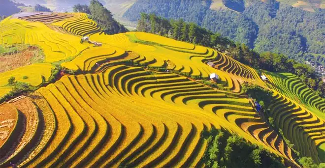Ruộng Bậc Thang Được Làm Ở Đâu Ruộng Bậc Thang Được Làm Ở Đâu