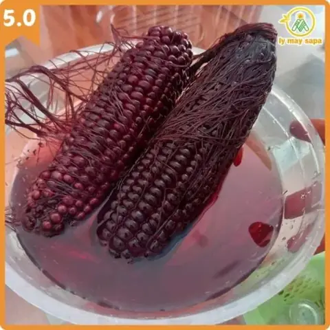 Rượu Ngô Có Tác Dụng Gì Rượu Ngô Có Tác Dụng Gì