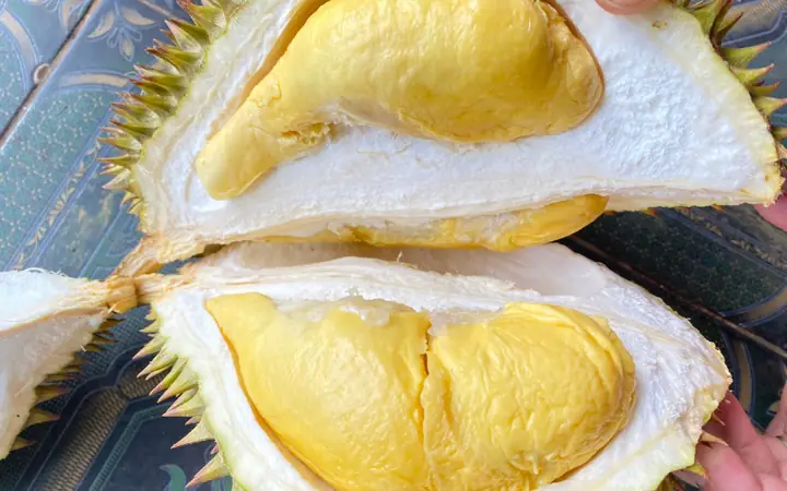 Sau Rieng Ngon O Sai Gon Sau Rieng Ngon O Sai Gon