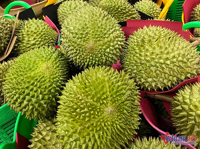 Sầu Riêng Ở Đâu Ngon Nhất Việt Nam Sầu Riêng Ở Đâu Ngon Nhất Việt Nam