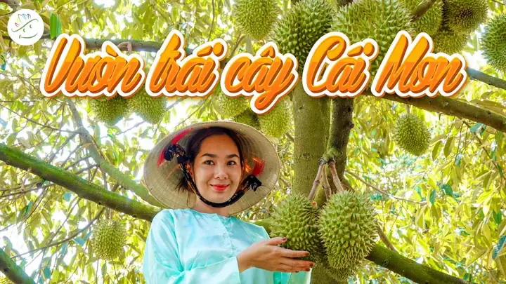 Số Điện Thoại Vườn Trái Cây Cái Mơn Số Điện Thoại Vườn Trái Cây Cái Mơn