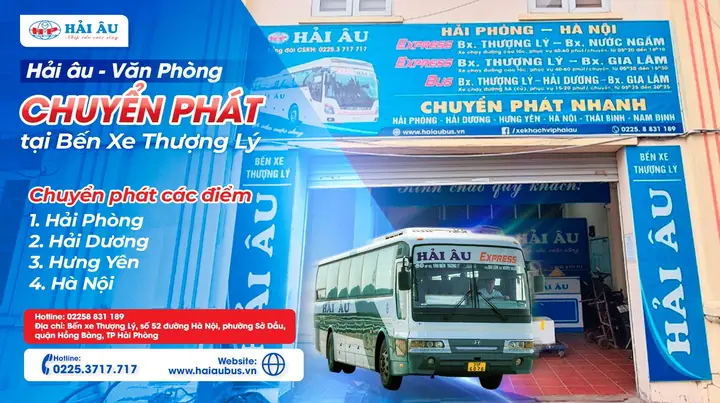 Số Tổng Đài Xe Hải Âu Số Tổng Đài Xe Hải Âu