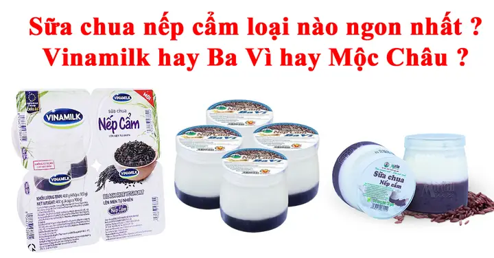 Sữa Chua Nếp Cẩm Loại Nào Ngon Sữa Chua Nếp Cẩm Loại Nào Ngon