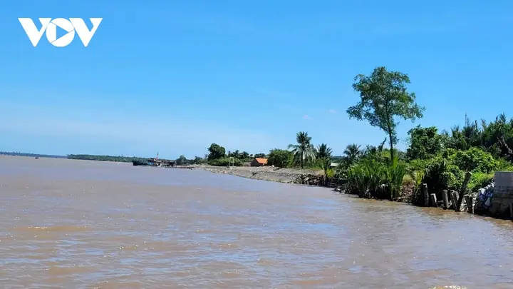 Tam Hiệp Bình Đại Bến Tre Tam Hiệp Bình Đại Bến Tre