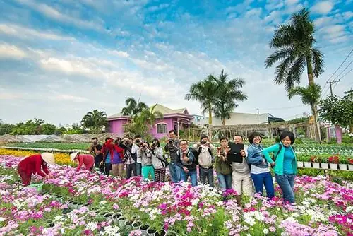 Tham Quan Làng Hoa Sa Đéc Tham Quan Làng Hoa Sa Đéc