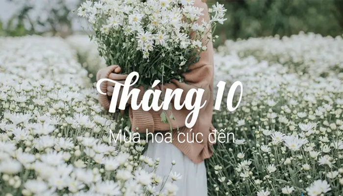Tháng 10 Mùa Hoa Gì Ở Hà Nội