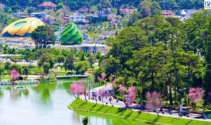 Thành Phố Đà Lạt Có Gì