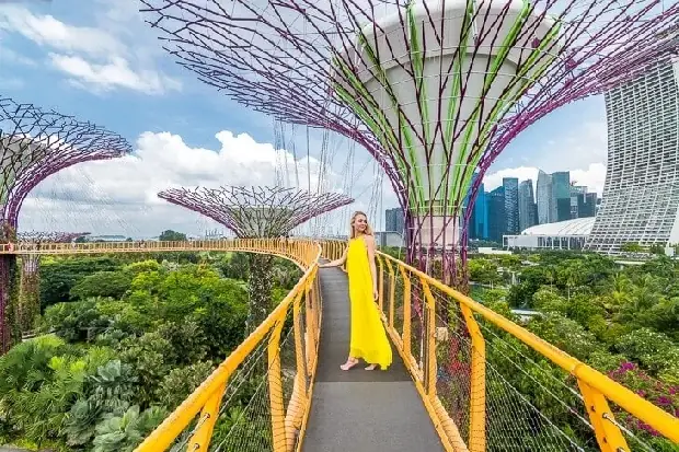 Thủ Tục Đi Singapore Du Lịch Thủ Tục Đi Singapore Du Lịch