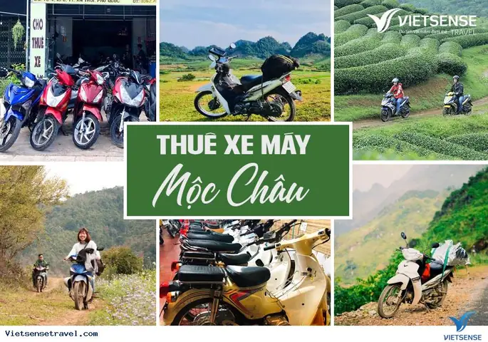 Thuê Xe Máy Ở Mộc Châu