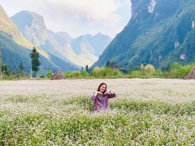 Thung Lũng Hoa Tam Giác Mạch Thung Lũng Hoa Tam Giác Mạch