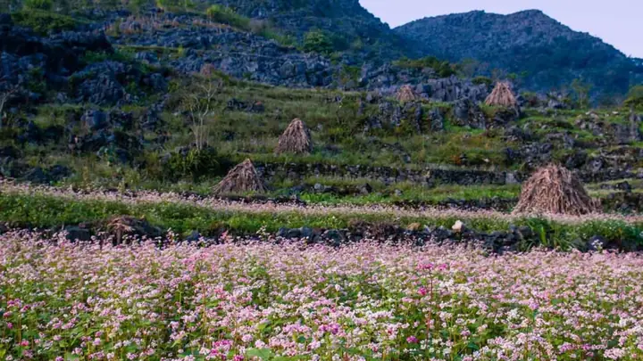 Thuyết Minh Về Cao Nguyên Đá Đồng Văn Thuyết Minh Về Cao Nguyên Đá Đồng Văn
