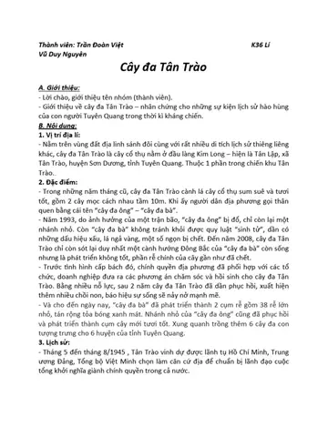 Thuyết Minh Về Cây Đa Tân Trào Thuyết Minh Về Cây Đa Tân Trào