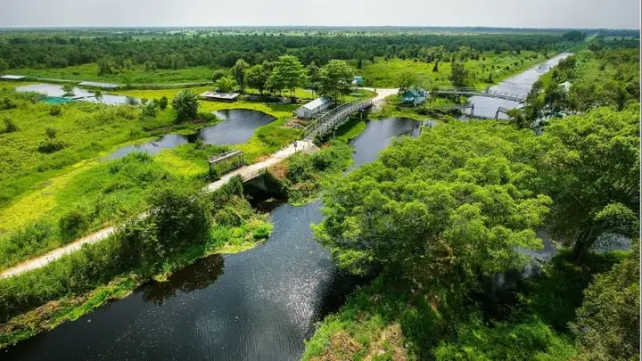Thuyết Minh Về Vườn Quốc Gia U Minh Thượng Thuyết Minh Về Vườn Quốc Gia U Minh Thượng