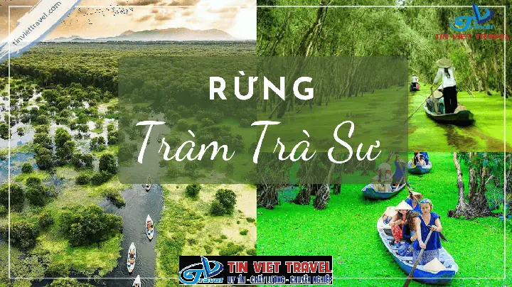 Tour Đi Rừng Tràm Trà Sư