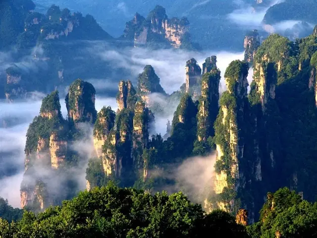 Trương Gia Giới Có Gì Chơi Trương Gia Giới Có Gì Chơi