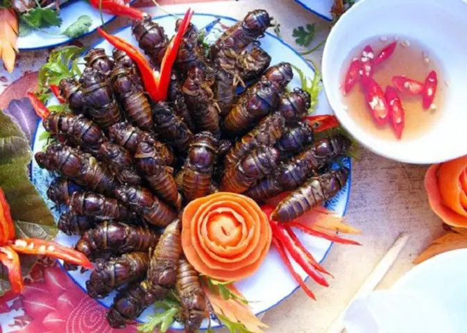 Ve Sầu Làm Món Gì Ngon